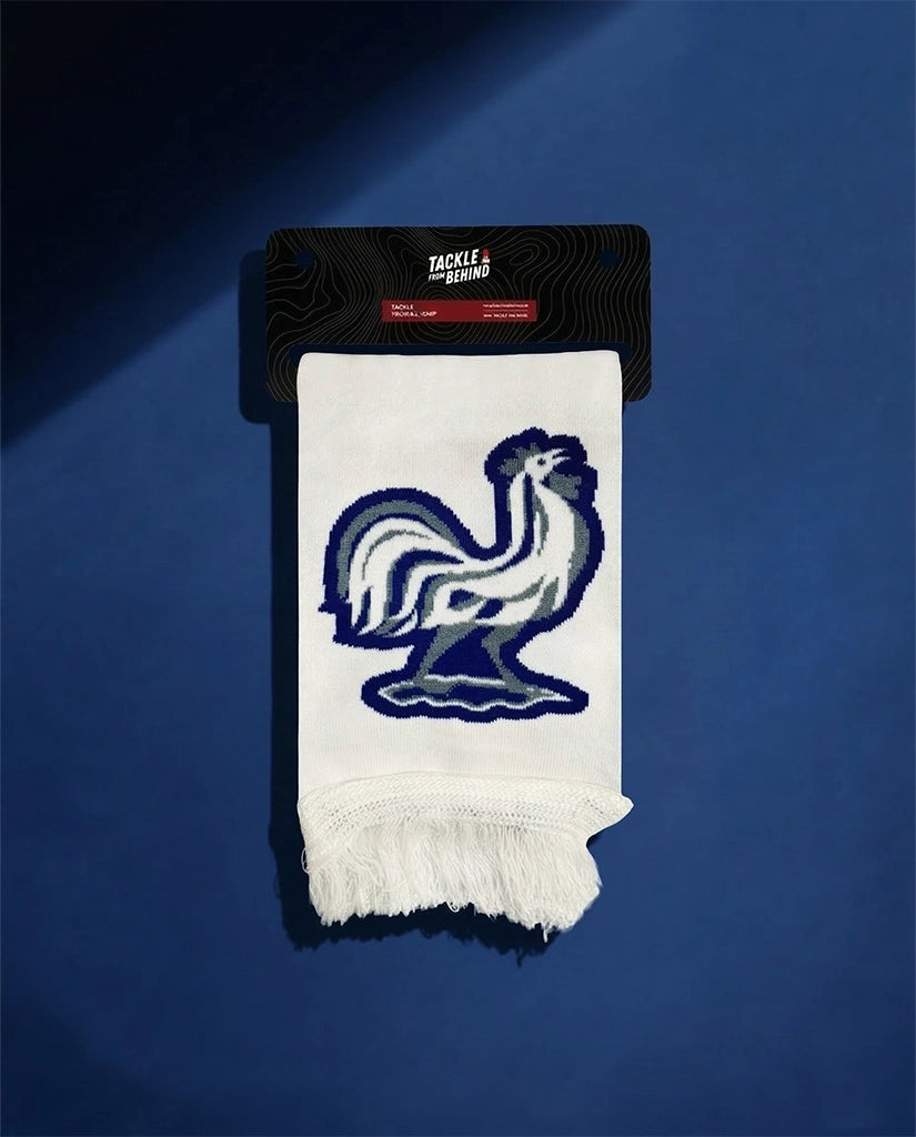 France Knitted Football Scarf